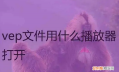 vep格式用什么播放器，vep格式百度网盘怎么打开ipad