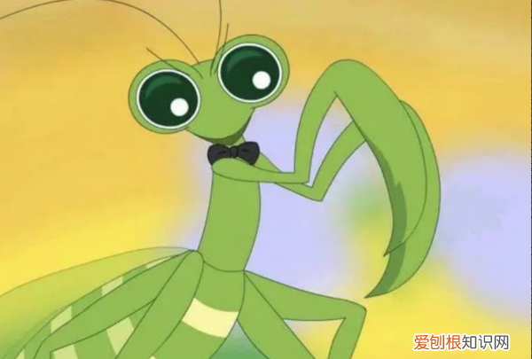 螳螂怎么养活得久,螳螂吃什么怎样才能养螳螂
