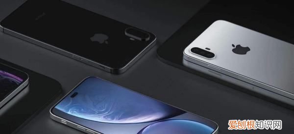 iphonepro是双卡，iphonepro有双卡双待吗