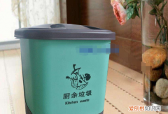 生活垃圾中占比重最大的是什么