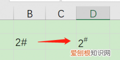 excel显示井号怎么弄