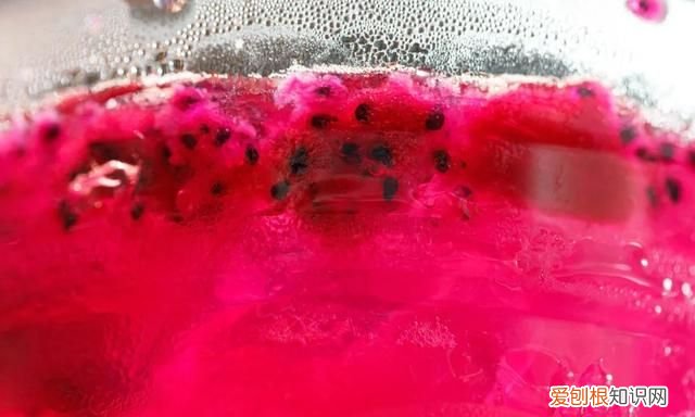 英国星巴克pink drink复刻 星巴克pinkdrink中文
