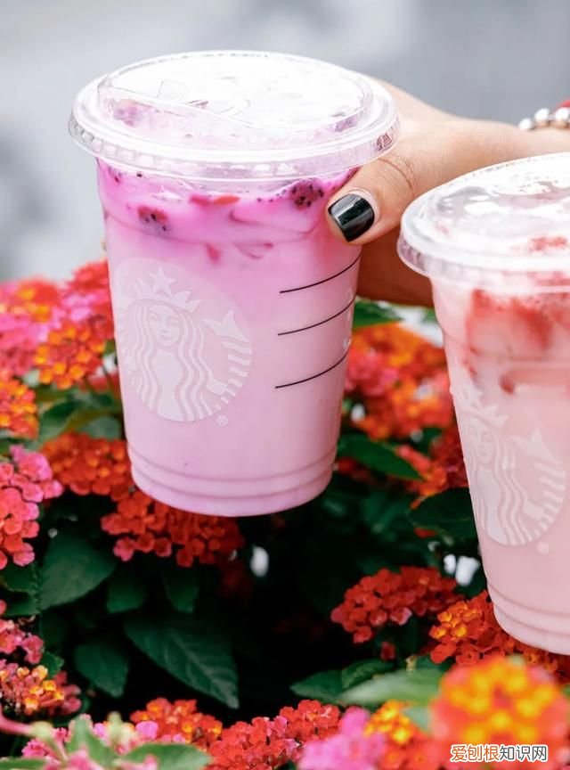 英国星巴克pink drink复刻 星巴克pinkdrink中文