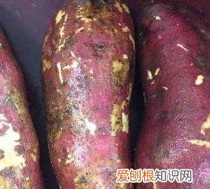 红薯酸奶泥做法图解，酸奶红薯的功效与作用