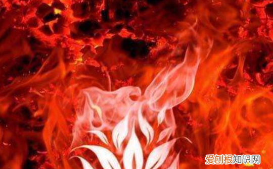 什么叫地宝，寻仙天材地宝是做什么用的啊
