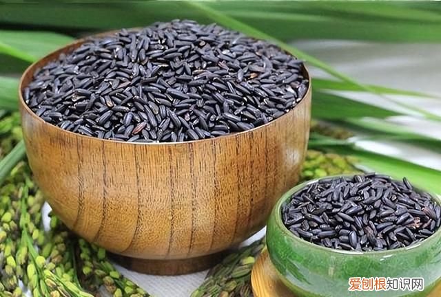 黑米和黑糯米功效上有啥区别