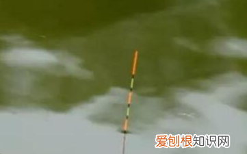 海竿钓鱼怎么用漂，海竿怎样使用浮漂钓鱼视频
