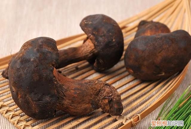 关于松茸的朋友圈,西藏松茸朋友圈