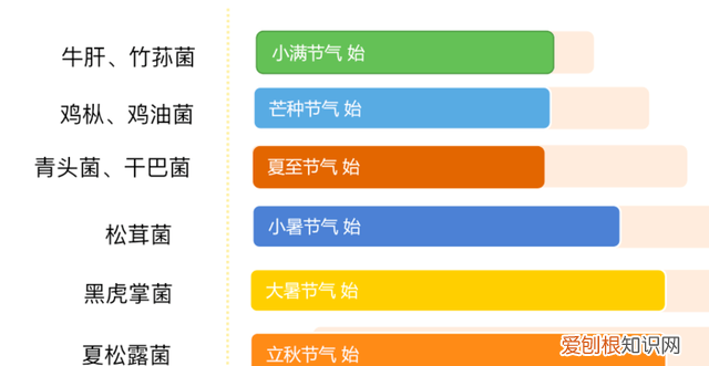 关于松茸的朋友圈,西藏松茸朋友圈