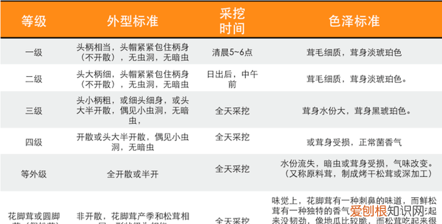 关于松茸的朋友圈,西藏松茸朋友圈