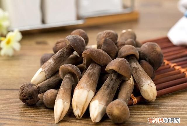 关于松茸的朋友圈,西藏松茸朋友圈