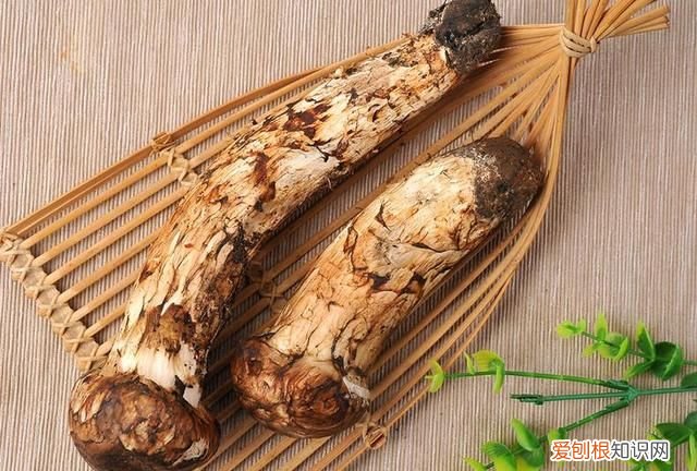 关于松茸的朋友圈,西藏松茸朋友圈