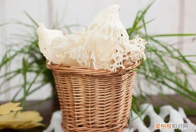 关于松茸的朋友圈,西藏松茸朋友圈