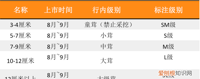 关于松茸的朋友圈,西藏松茸朋友圈