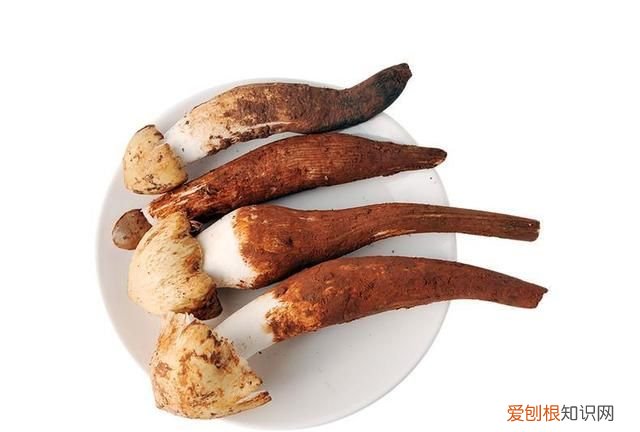 关于松茸的朋友圈,西藏松茸朋友圈
