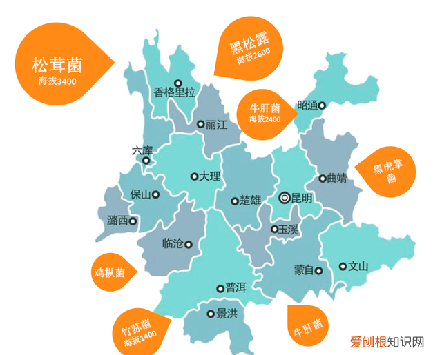 关于松茸的朋友圈,西藏松茸朋友圈