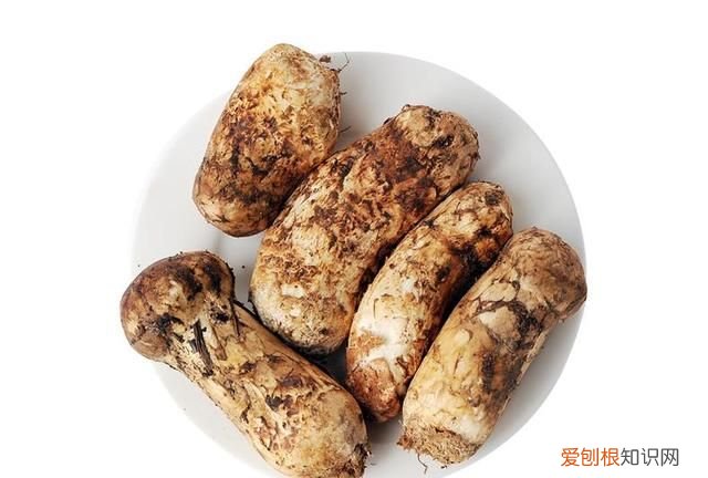 关于松茸的朋友圈,西藏松茸朋友圈