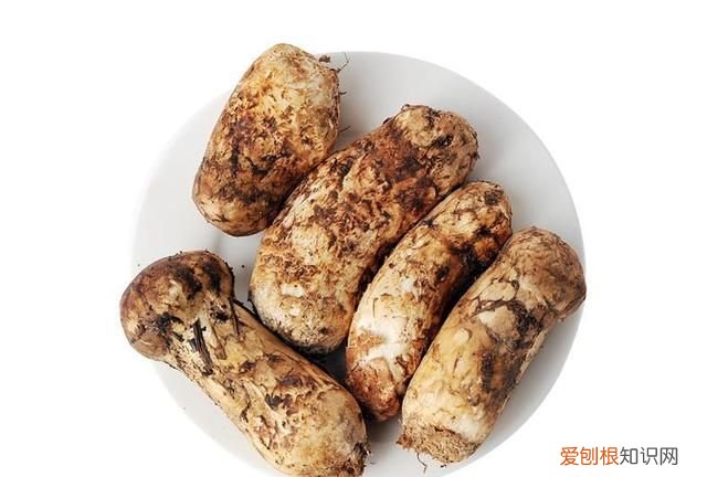 关于松茸的朋友圈,西藏松茸朋友圈