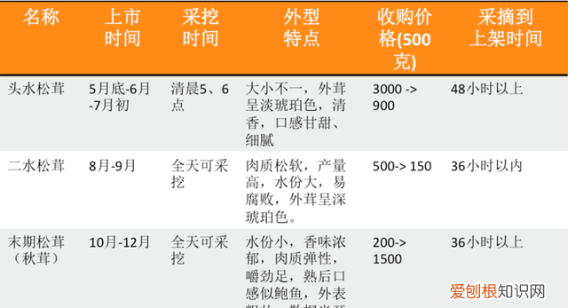 关于松茸的朋友圈,西藏松茸朋友圈