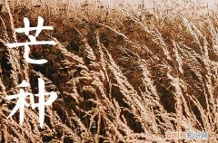芒种节气适合发朋友圈的句子80句
