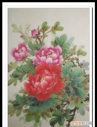 国画牡丹用什么纸，画牡丹花用什么宣纸