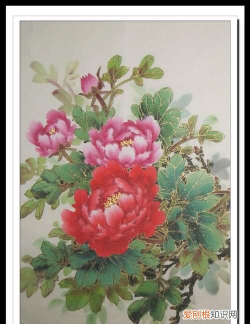 国画牡丹用什么纸，画牡丹花用什么宣纸