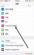 苹果怎么允许悬浮权限，苹果手机软件加密怎么设置