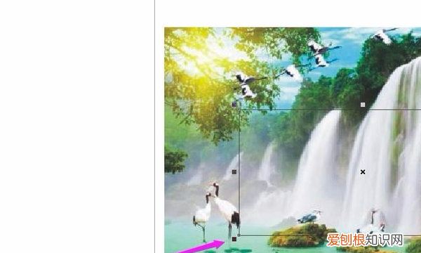 cdr该怎么样才能剪切，cdr里怎么创建剪切蒙版