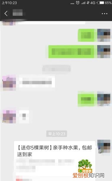 拼多多咋添加好友，拼多多怎么加好友