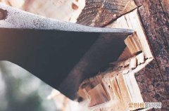 80句 保护森林经典标语