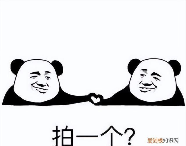 微信拍一拍怎么设置幽默文字,微信拍一拍怎么设置有趣的文案