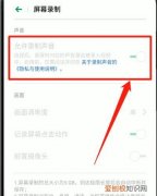 oppo录屏怎么录内置声音，oppo怎么录屏幕视频带声音