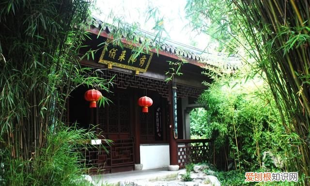 什么样的竹子最有韧劲
