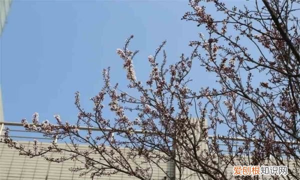 春天北风怎么钓鱼，春天刮北风好钓鱼吗