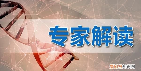 吃面包竟会查出酒驾?难道面包内含有酒精吗