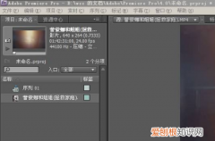 pr破解版和正版区别