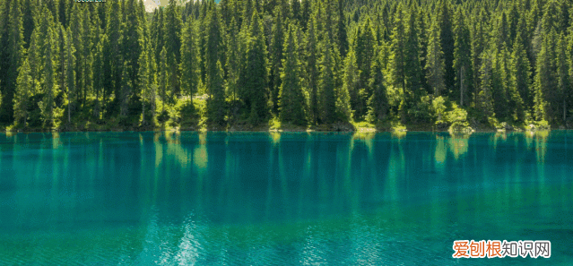 建议收藏windows神级桌面美化教程