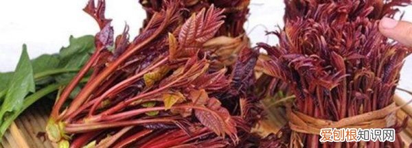 香椿苦能吃，香椿发苦发涩能吃吗