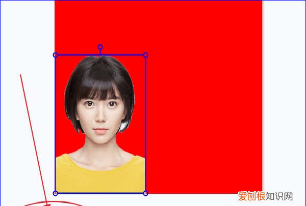 手机美图秀秀文字加底色,美图秀秀怎么换背景颜色