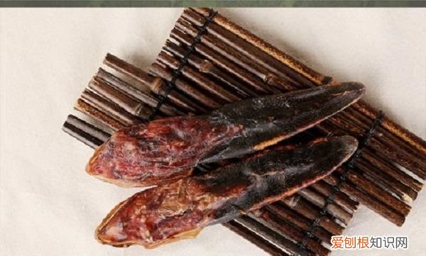 鹿的尾巴能干什么用，鹿的尾巴是什么样子的