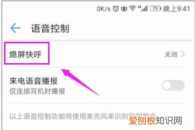华为手机唤醒设置方法,华为手机叫什么名字可以唤醒怎么操作