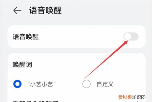 华为手机唤醒设置方法，华为手机叫什么名字可以唤醒怎么操作