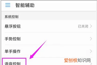 华为手机唤醒设置方法，华为手机叫什么名字可以唤醒怎么操作
