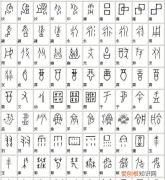 甲骨文属于大篆，甲骨文金文以及说文里所谓的古文还有什么