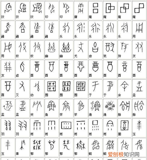 甲骨文属于大篆，甲骨文金文以及说文里所谓的古文还有什么