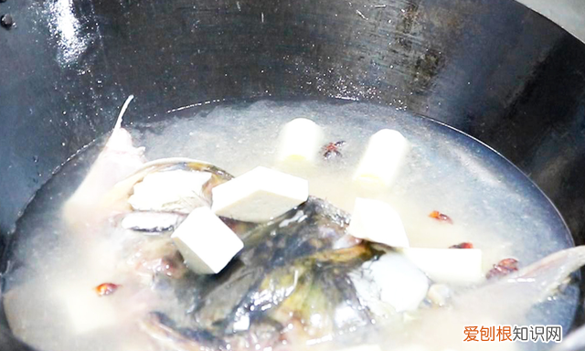 润肺汤的做法与功效