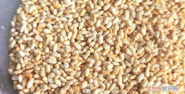 喝炒焦米水和什么搭配喝好 炒焦米泡水喝,多喝的久减肥