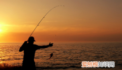 钓鱼什么是钓顿，什么是调灵钓钝