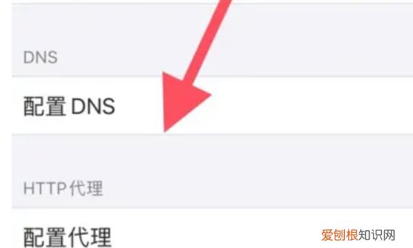 手机dns怎么设置网速快，苹果设备dns怎么设置网速更快一点