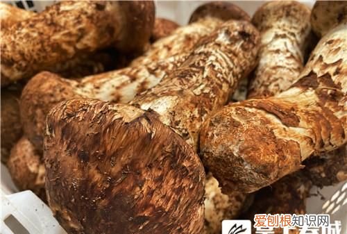 昆明野生菌交易市场6万1斤的松茸